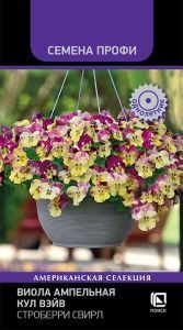 Виола ампельная Кул Вэйв Свирл (цветной пакет) 5шт; Поиск