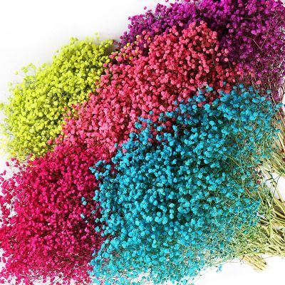 гипсофила Аврора Крашеная; Эквадор фото в интернет-магазине Флоранж гипсофила Аврора Крашеная; Эквадор фото в интернет-магазине Флоранж