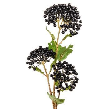 вибурнум Блуберри голл