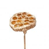 Лотос на вставке, 7х50 см фото в интернет-магазине Флоранж