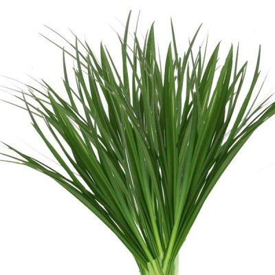 лилиграсс пучок фото в интернет-магазине Флоранж