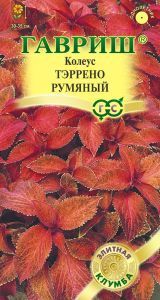 Колеус Тэррено румяный (цветной пакет) 4шт; Гавриш