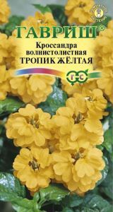 Кроссандра Тропик желтая (цветной пакет) 3шт; Гавриш