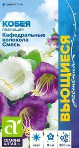 Кобея Кафедральные колокола Смесь Лазающая (цветной пакет) 5шт; Семена Алтая