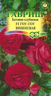Бегония Гоу-гоу вишневая F1 (цветной пакет, гранулы, пробирка) 4шт; Гавриш фото в интернет-магазине Флоранж