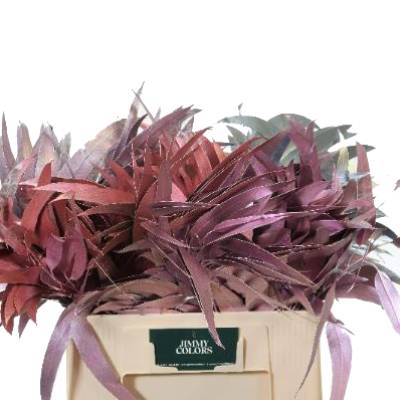 эвкалипт Краш Металлик Микс фото в интернет-магазине Флоранж