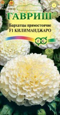 Бархатцы Килиманджаро F1 (цветной пакет) 0,05г; Гавриш фото в интернет-магазине Флоранж