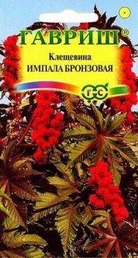 Клещевина Импала (цветной пакет) 5шт; Гавриш фото в интернет-магазине Флоранж