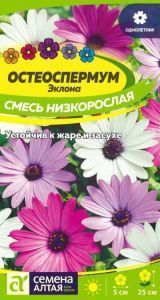 Остеоспермум Смесь низкорослая (цветной пакет) 0,1г; Семена Алтая