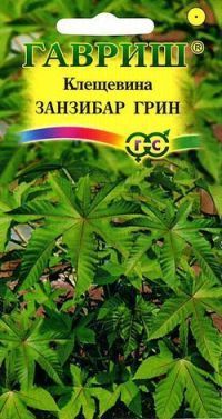 Клещевина Занзибар Грин (цветной пакет) 5шт; Гавриш фото в интернет-магазине Флоранж