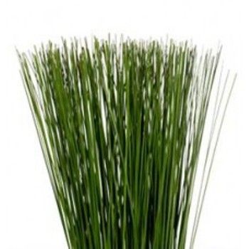 стилграс фото в интернет-магазине Флоранж