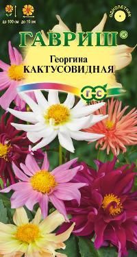 Георгина Кактусовидная (цветной пакет) 0,2г; Гавриш фото в интернет-магазине Флоранж Георгина Кактусовидная (цветной пакет) 0,2г; Гавриш фото в интернет-магазине Флоранж