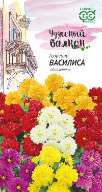 Георгина Василиса (цветной пакет) 0,5г; Гавриш фото в интернет-магазине Флоранж Георгина Василиса (цветной пакет) 0,5г; Гавриш фото в интернет-магазине Флоранж
