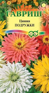 Цинния Подружки кактусовидная смесь (цветной пакет) 0,2г; Гавриш фото в интернет-магазине Флоранж