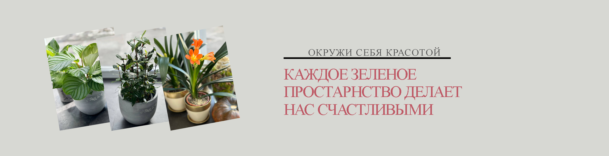 Озеленение