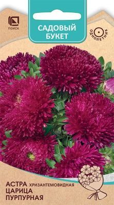 Астра хризантемовидная Царица Пурпурная (цветной пакет) 0,1г; Поиск фото в интернет-магазине Флоранж