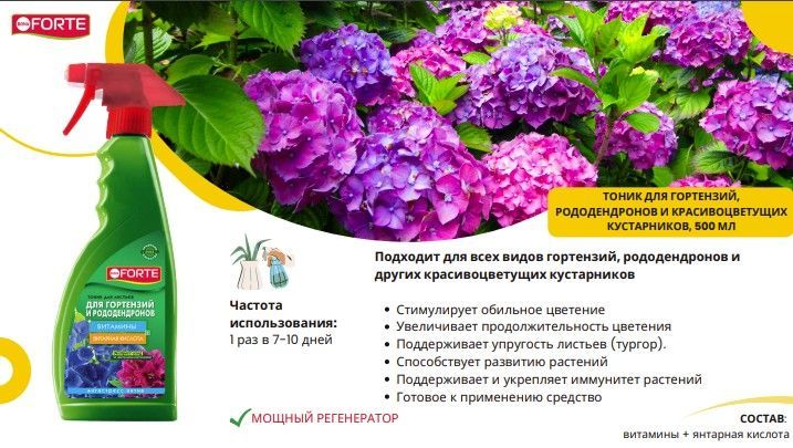 горт4.jpg горт4.jpg