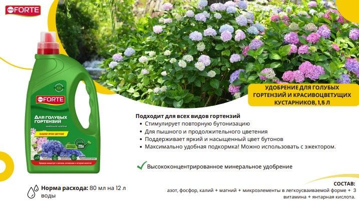 горт2.jpg горт2.jpg