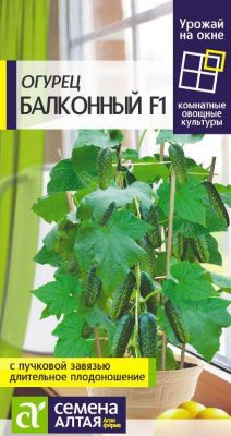Огурец Балконный F1 (цветной пакет) 5шт; Семена Алтая фото в интернет-магазине Флоранж
