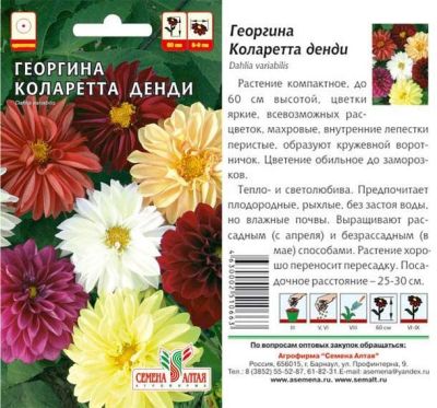 Георгина Коларет Денди (цветной пакет) 0,3г; Семена Алтая фото в интернет-магазине Флоранж