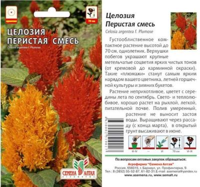 Целозия перистая (цветной пакет) 0,3г; Семена Алтая фото в интернет-магазине Флоранж
