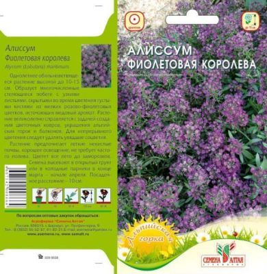 Алиссум Фиолетовая Королева (цветной пакет) 0,1г; Семена Алтая фото в интернет-магазине Флоранж