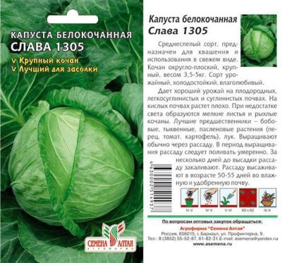 Капуста белокочанная Слава 1305 (цветной пакет) 0,5г; Семена Алтая фото в интернет-магазине Флоранж