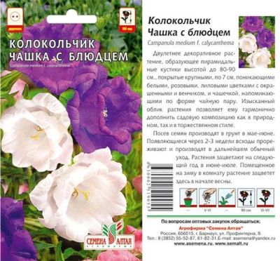 Колокольчик Чашка с Блюдцем (цветной пакет) 0,1г; Семена Алтая фото в интернет-магазине Флоранж