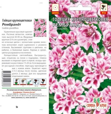 Годеция Рембрандт (цветной пакет) 0,2г; Семена Алтая фото в интернет-магазине Флоранж
