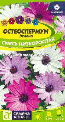 Остеоспермум Смесь низкорослая (цветной пакет) 0,1г; Семена Алтая фото в интернет-магазине Флоранж