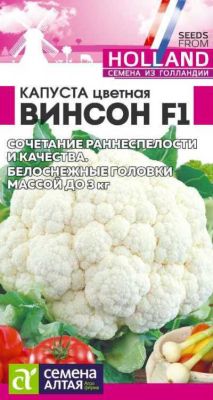 Капуста цветная Винсон (цветной пакет) 10шт; Семена Алтая фото в интернет-магазине Флоранж