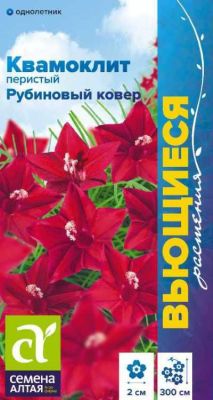 Ипомея Квамоклит Рубиновый ковер перистый (цветной пакет) 0,2г; Семена Алтая фото в интернет-магазине Флоранж