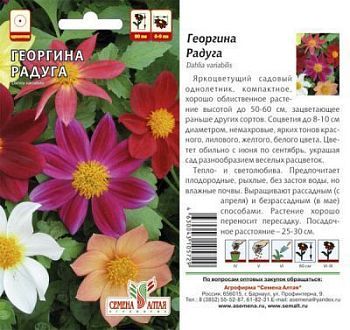 Георгина Радуга (цветной пакет) 0,2г; Семена Алтая