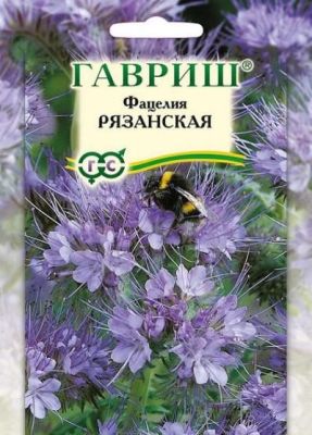 Фацелия Рязанская (сидерат) 0,5 кг (цветной пакет); Гавриш фото в интернет-магазине Флоранж