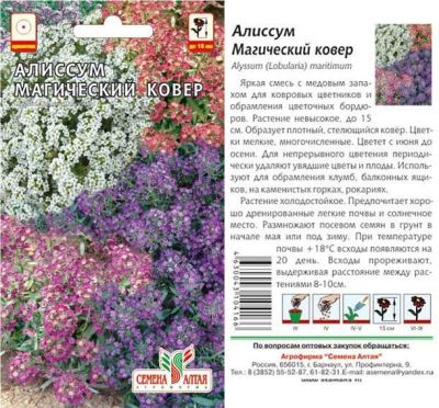 Алиссум Магический Ковер (цветной пакет) 0,1г; Семена Алтая фото в интернет-магазине Флоранж