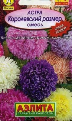Астра Королевский Размер смесь (цветной пакет) 0,2г; Семена Алтая фото в интернет-магазине Флоранж