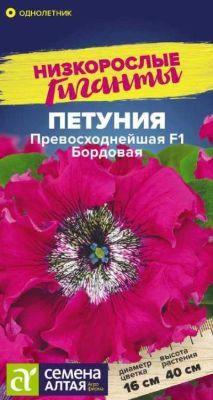 Петуния Превосходнейшая Бордовая (цветной пакет) 7шт; Семена Алтая фото в интернет-магазине Флоранж