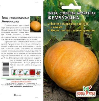 Тыква Витаминная (цветной пакет) 2г; Семена Алтая фото в интернет-магазине Флоранж
