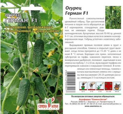 Огурец Герман (цветной пакет) 5шт; Семена Алтая фото в интернет-магазине Флоранж