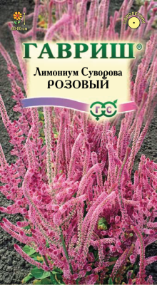 Лимониум Суворова розовый (цветной пакет) 0,01г; Гавриш фото в интернет-магазине Флоранж