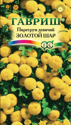 Пиретрум Золотой шар (цветной пакет) 0,01г; Гавриш фото в интернет-магазине Флоранж