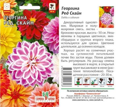 Георгина Ред Скайн (цветной пакет) 0,2г; Семена Алтая фото в интернет-магазине Флоранж