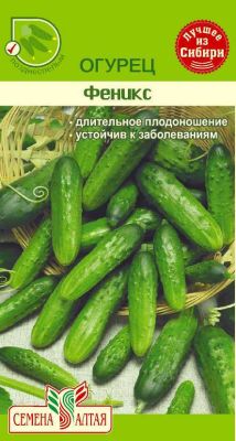 Огурец Феникс (цветной пакет) 0,5г; Семена Алтая фото в интернет-магазине Флоранж