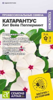 Катарантус Хит Вейв Пепперминт (цветной пакет) 7шт; Семена Алтая фото в интернет-магазине Флоранж