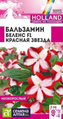 Бальзамин Беленс Красная звезда (цветной пакет) 5шт; Семена Алтая Голландия  фото в интернет-магазине Флоранж