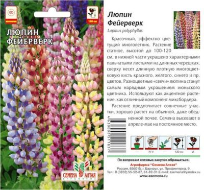 Люпин многолетний Фейерверк (цветной пакет) 0,3г; Семена Алтая фото в интернет-магазине Флоранж