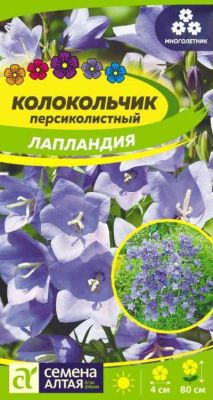 Колокольчик персиколистный Лапландия (цветной пакет) 0,05г; Семена Алтая фото в интернет-магазине Флоранж