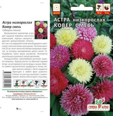 Астра Ковер (цветной пакет) 0,2г; Семена Алтая фото в интернет-магазине Флоранж