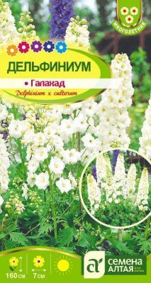 Дельфиниум Галахад (цветной пакет) 0,1г; Семена Алтая фото в интернет-магазине Флоранж