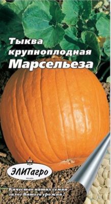 Тыква Марсельеза (цветной пакет) 1г; Аэлита фото в интернет-магазине Флоранж